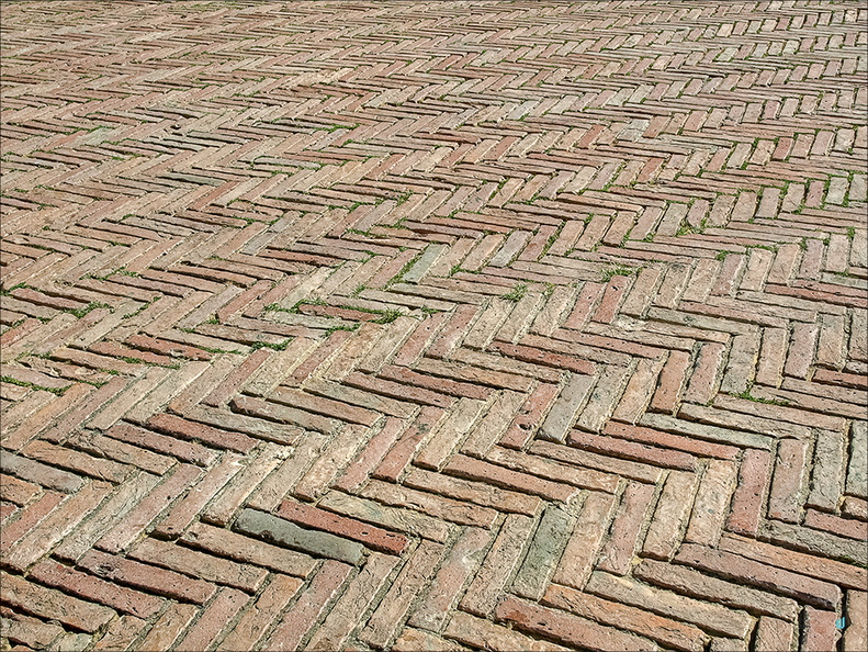 Siena - Piazza del Campo - Pavimento