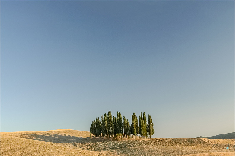Isola di cipressi