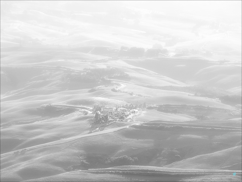 Nebbia d'estate B&W