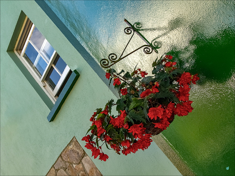 The green house window