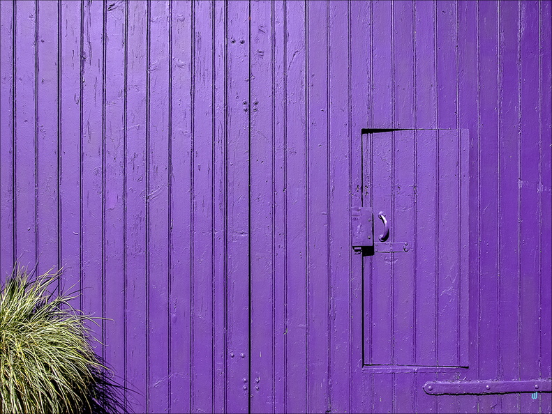 The purple door
