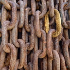 Chains - Search for Gold 02