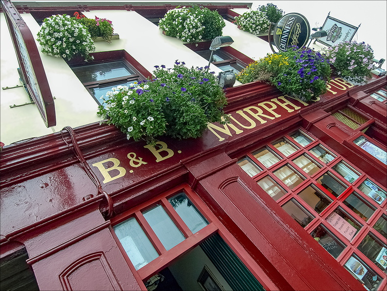 Murphy's (red)