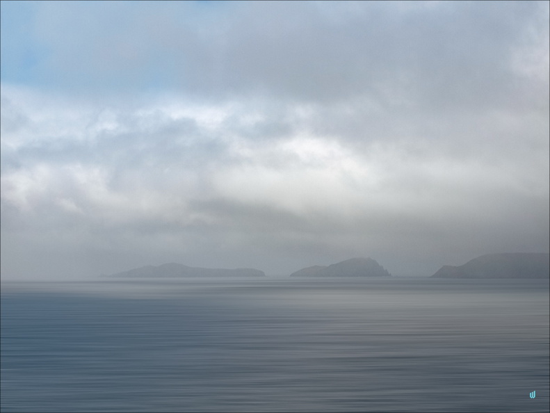 The fog