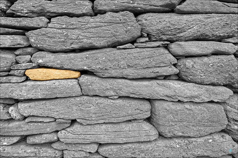 Search for Gold