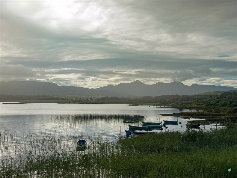 Lough Caragh detail