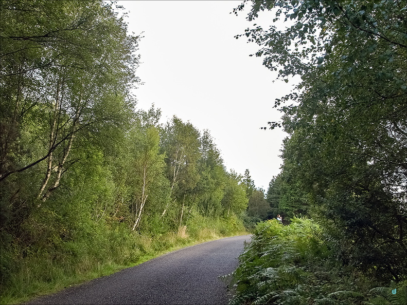 The Great Photographer's spot