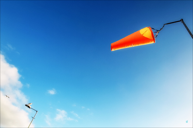 Wind