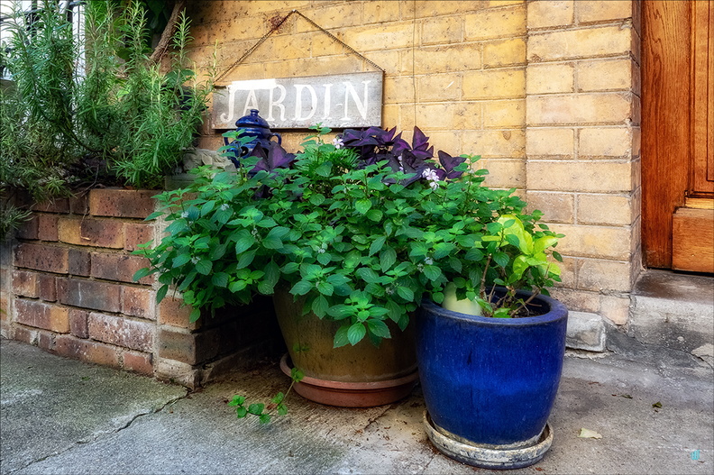 Jardin