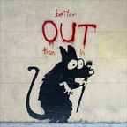 Le rat