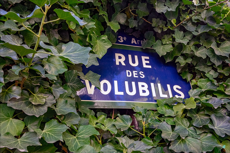 Rue des Volubilis