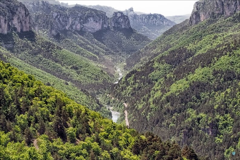 Dans les Gorges du Tarn 02