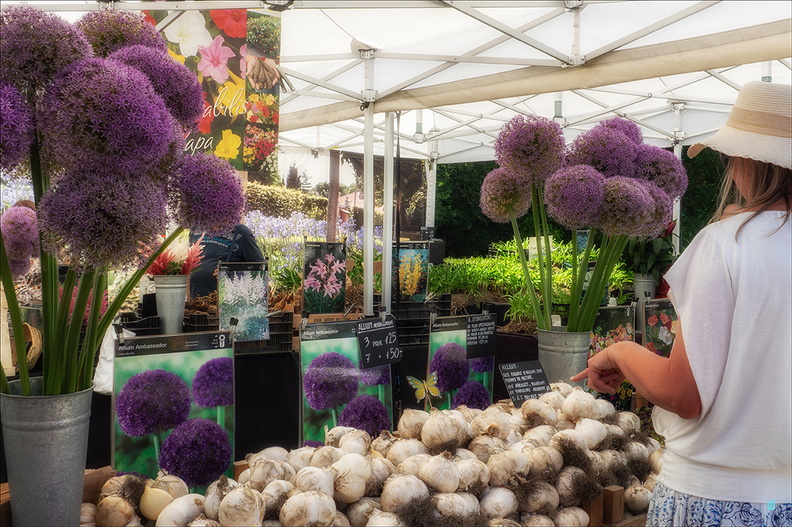 P6130534-Garlic copie-1100px